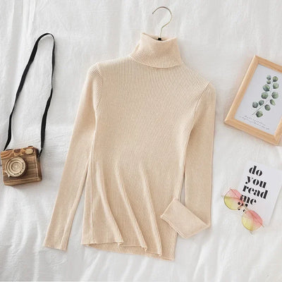 Chic Elegant Women's Turtleneck