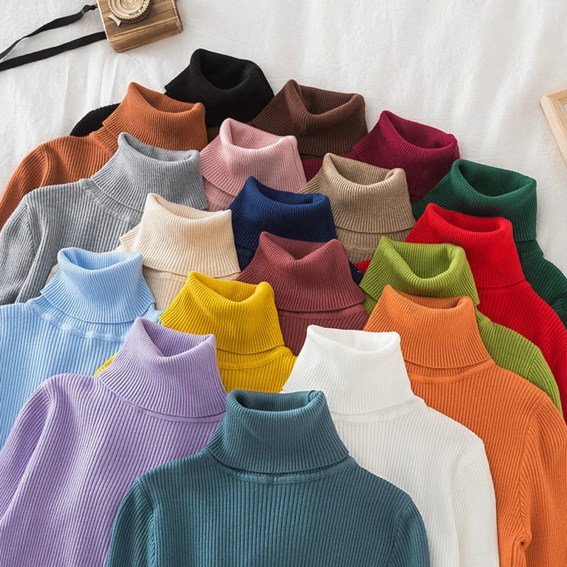 Chic Elegant Women's Turtleneck