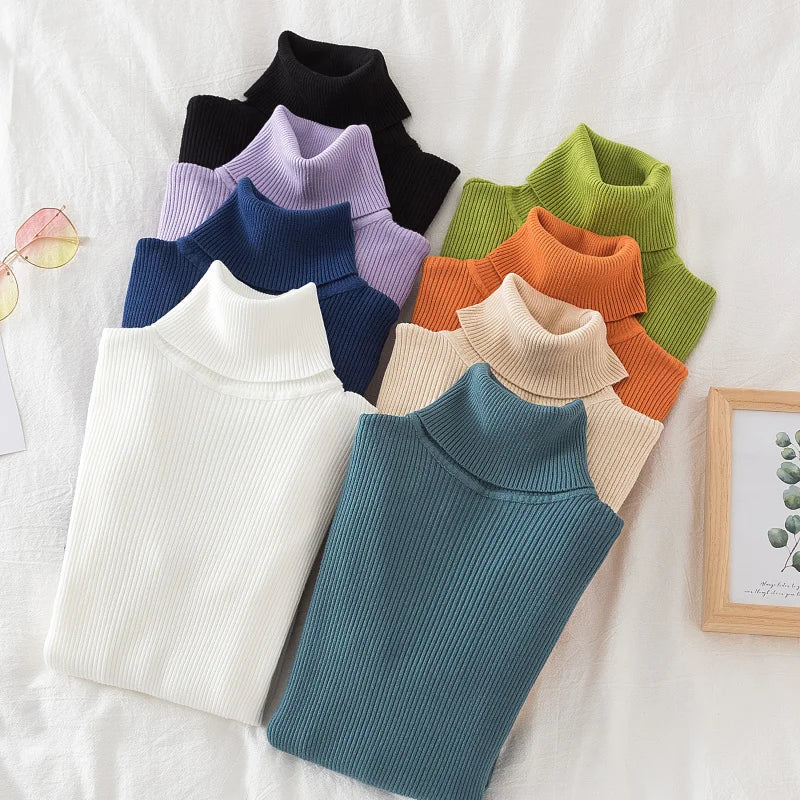 Chic Elegant Women's Turtleneck