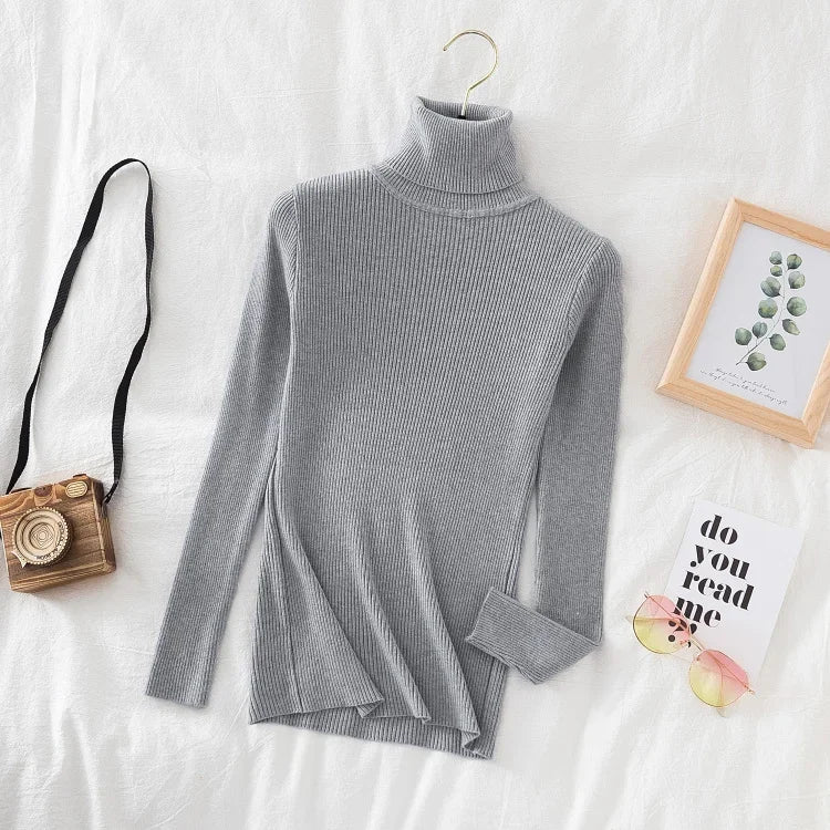 Chic Elegant Women's Turtleneck